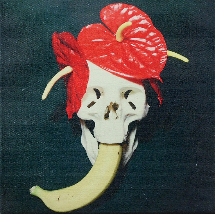 Czaszka / Skull, 1995