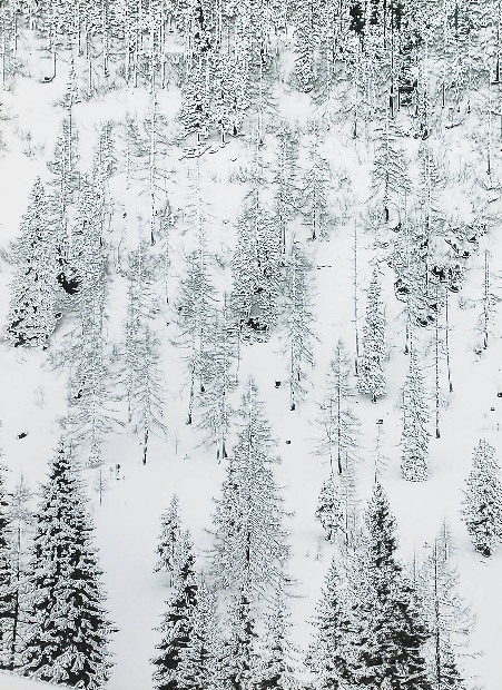 Bergwald, l. 60. XX w.