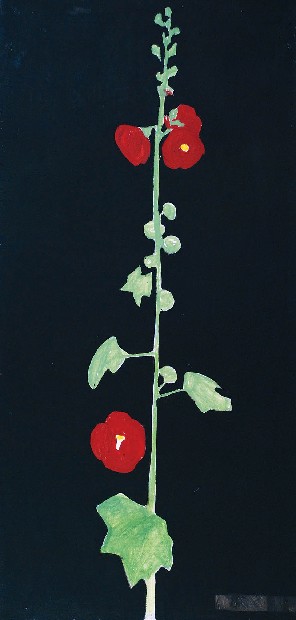 Malwa czarna, 2004