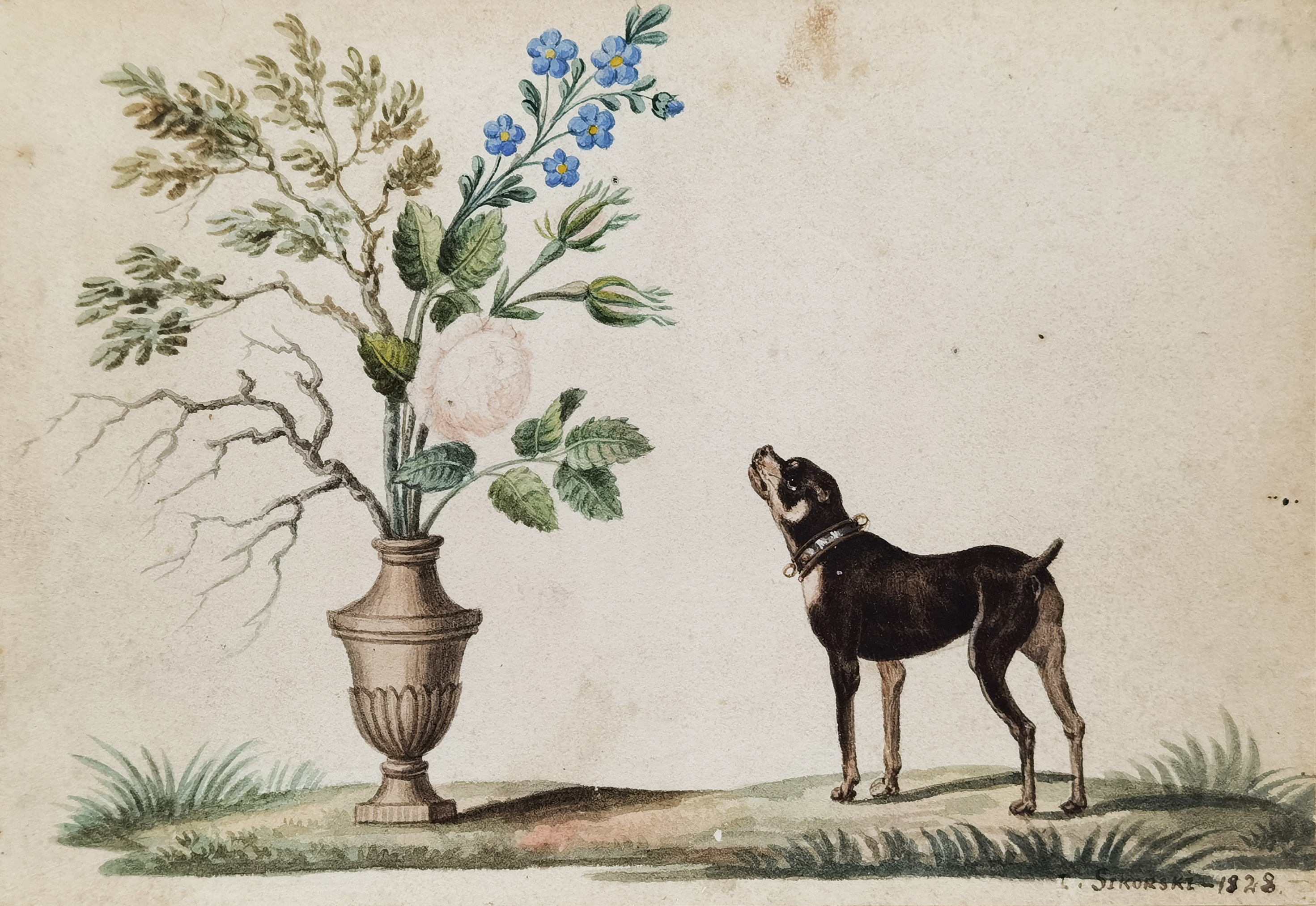 Kwiaty i pies - Pies i kwiaty, 1828