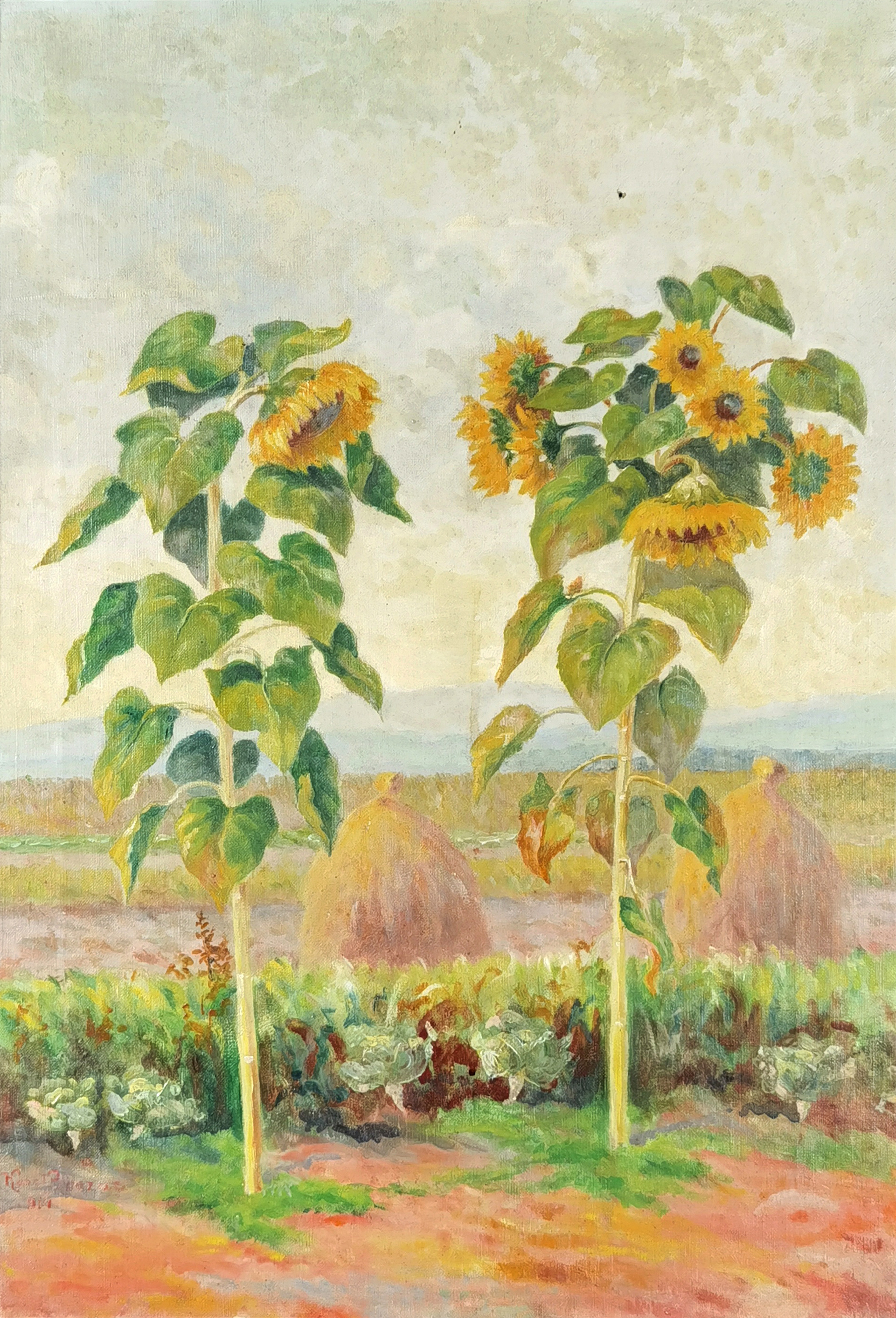 Słoneczniki, 1914