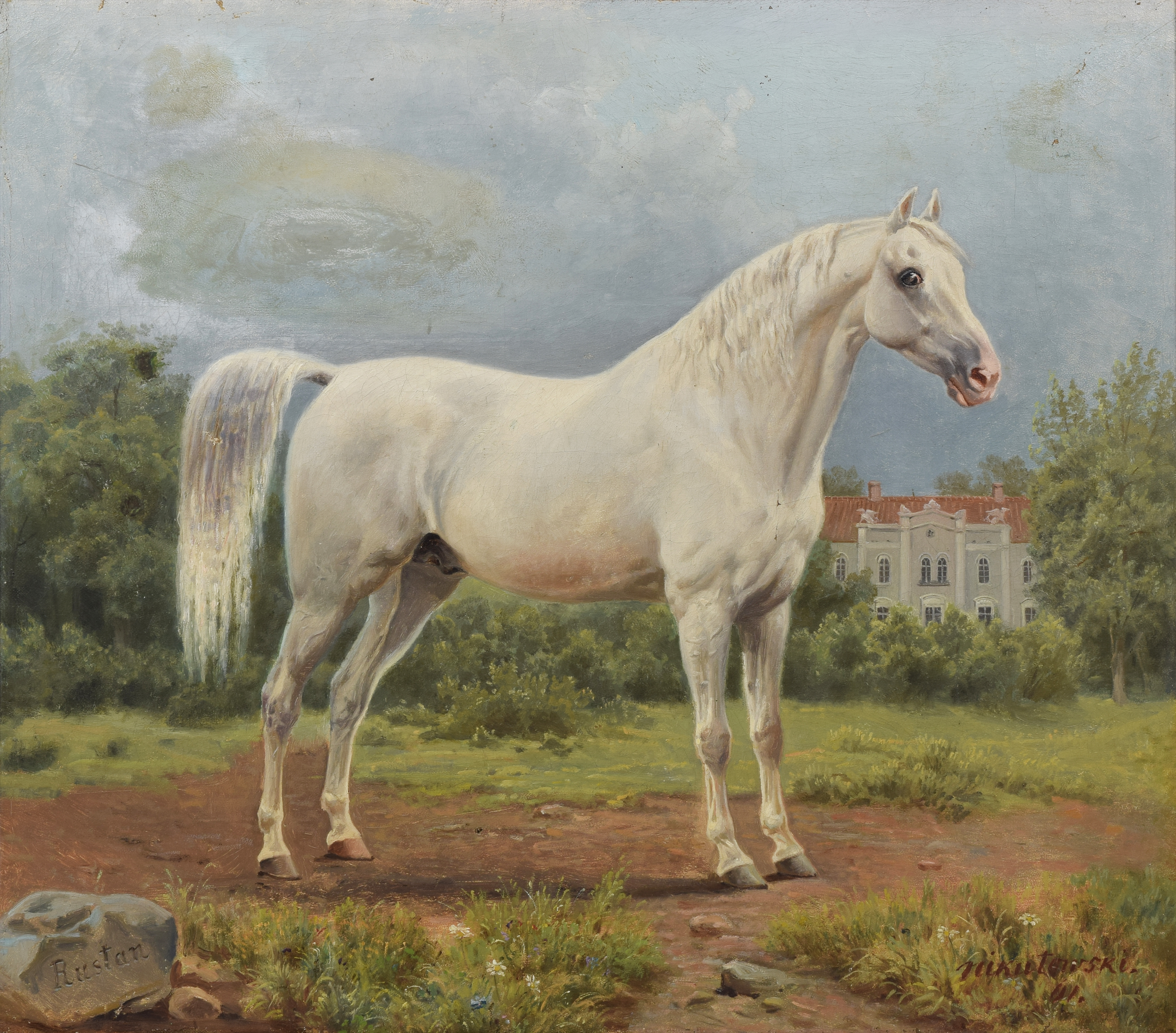 Portret konia arabskiego - Rustana