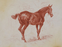 Small_cropped_04074467_004