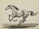 Small_cropped_00102039_002
