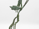 Small_cropped_00102614_001