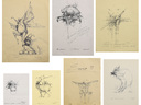 Small_cropped_04075389_001