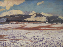 Small_cropped_04075446_002