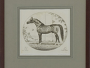 Small_cropped_00105598_003