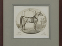 Small_cropped_00105598_002