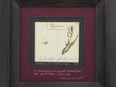 Small_cropped_04075539_002
