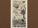 Small_cropped_00106468_007